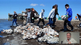 Video Still Everything Water 4.0 Part 2