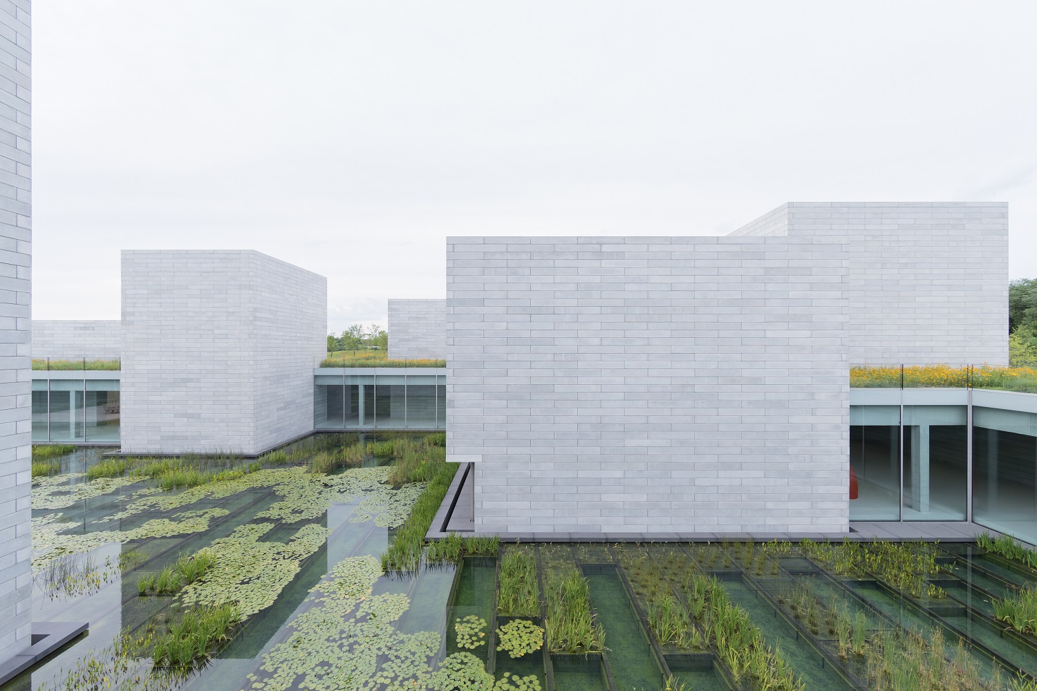 Glenstone Museum - The Pavilions. Image by: Iwan Baan