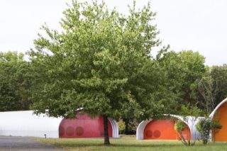 Carriage Houses & Grounds/Staten Island Historical Society, Photo by: Naho Kubota