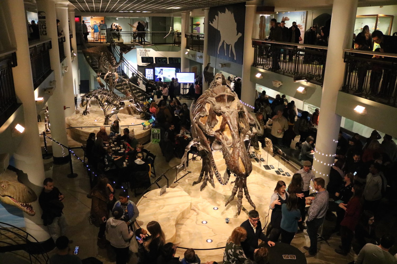 Visitors enjoy The Academy’s monthly Dinos After Dark program. Photo by: Mike Servedio; Courtesy of ANS