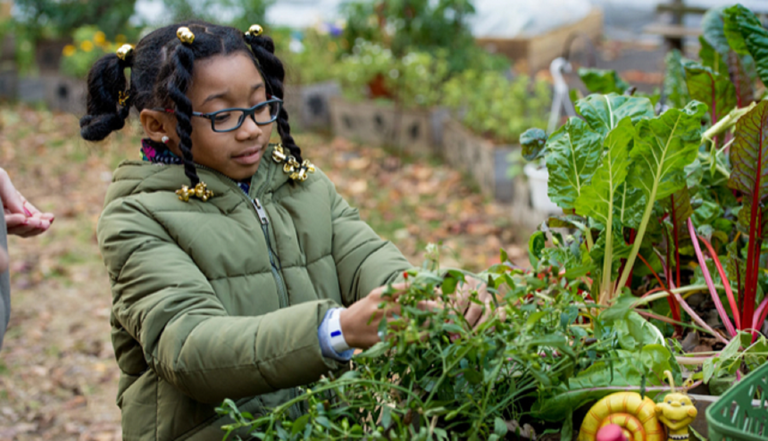 A girl learning about Urban Farming in a community garden.
