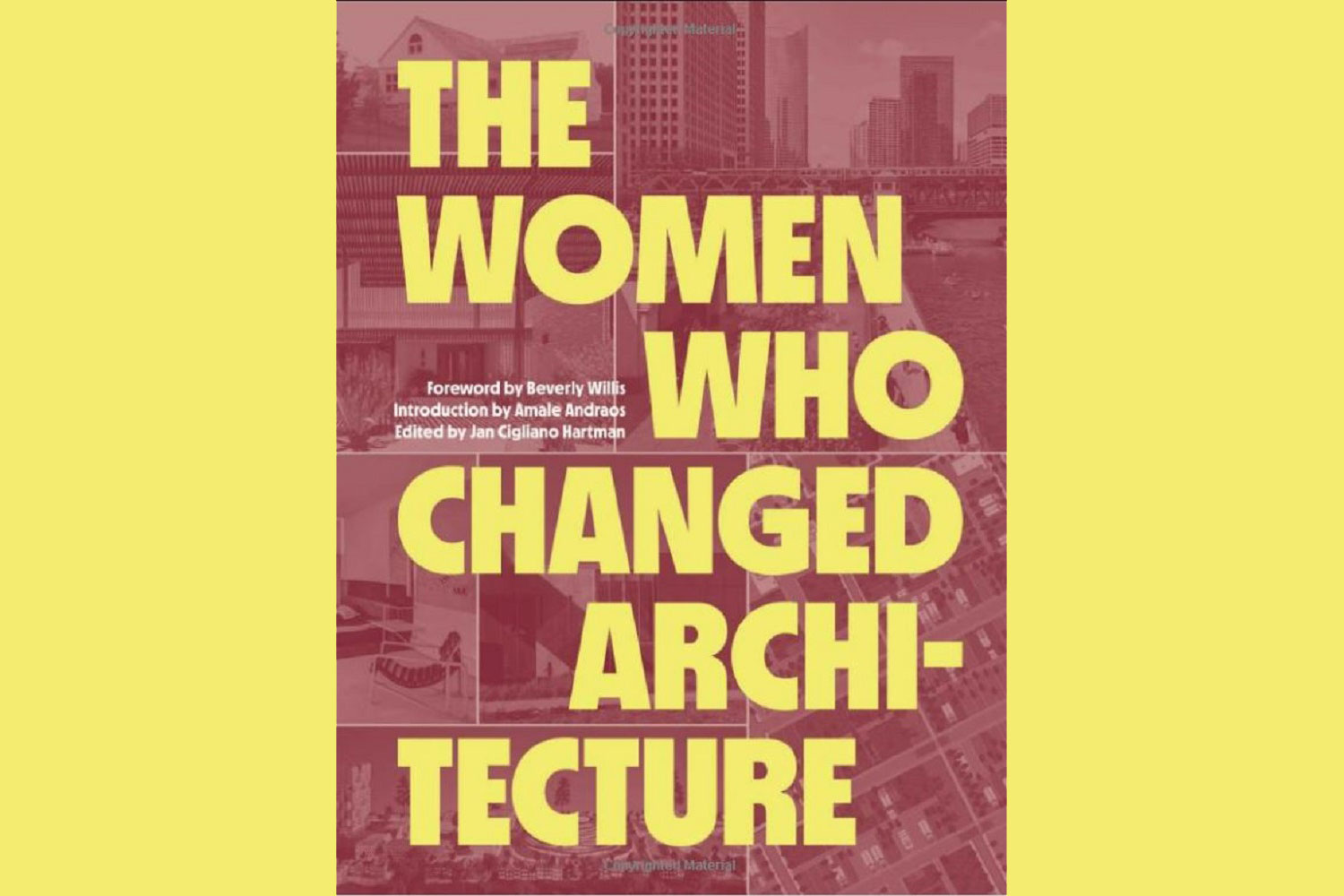 Book cover for The Women Who Changed Architecture