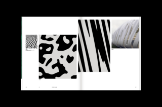 Zebra print design photo shown inside the Geospaces book