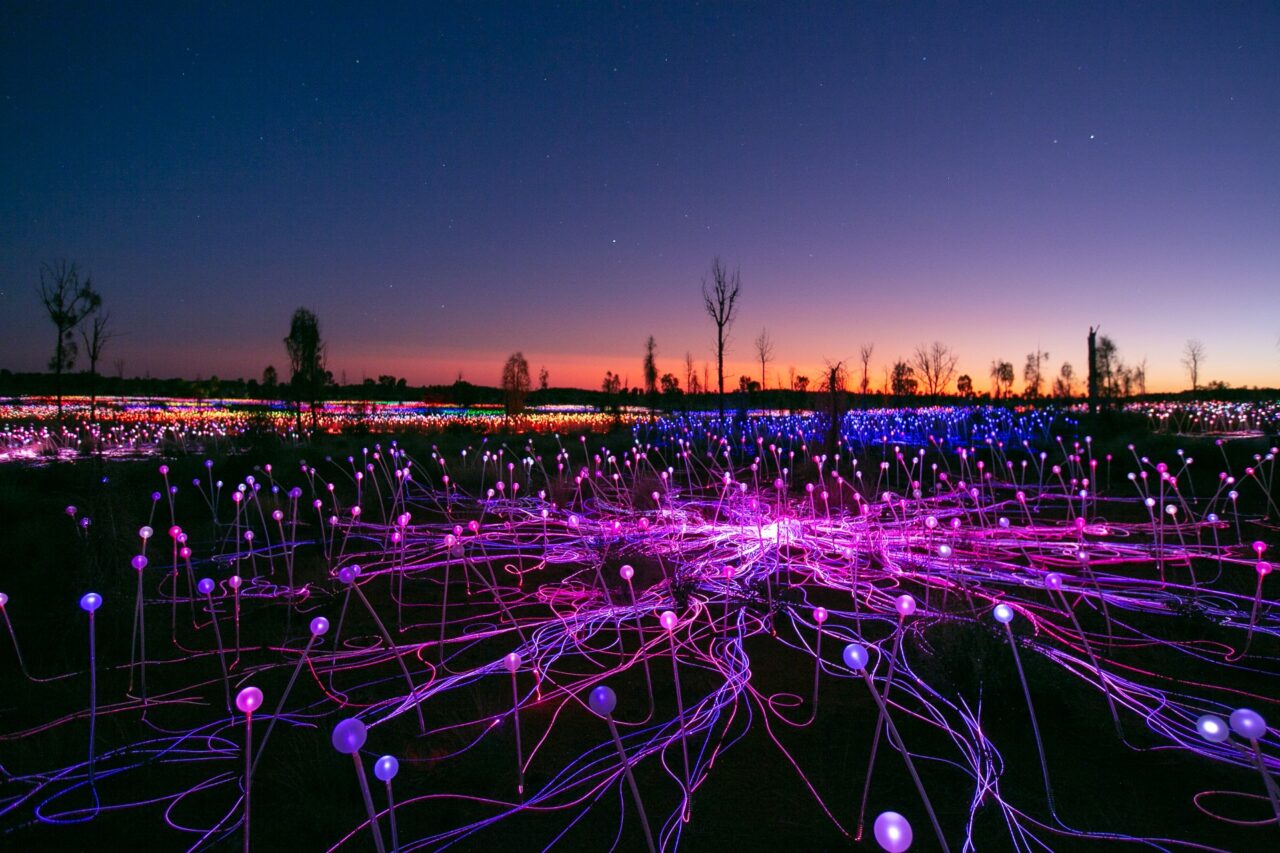 Fields of Light: A Journey with Bruce Munro - Calendar - AIA New York