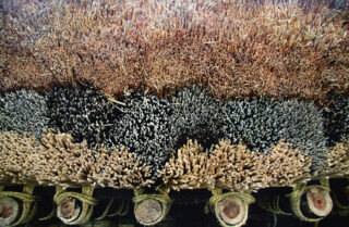 Image of Minka vernacular in Japan