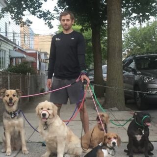 Colin Hunter walking dogs.