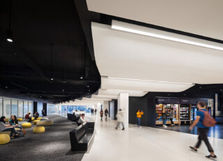 Pace University Student Landscape