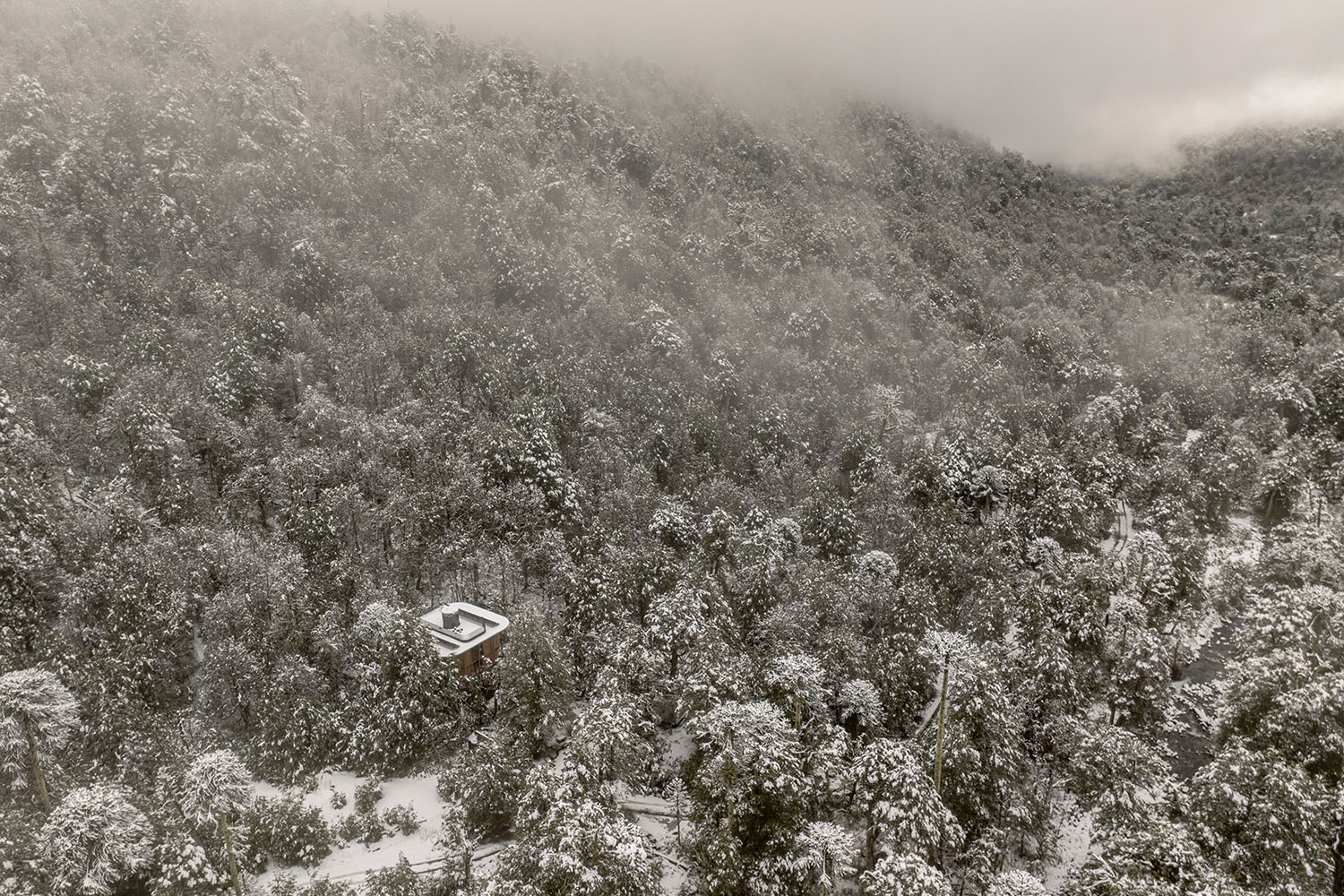 Photo: Courtesy of CONSTRUCTO.