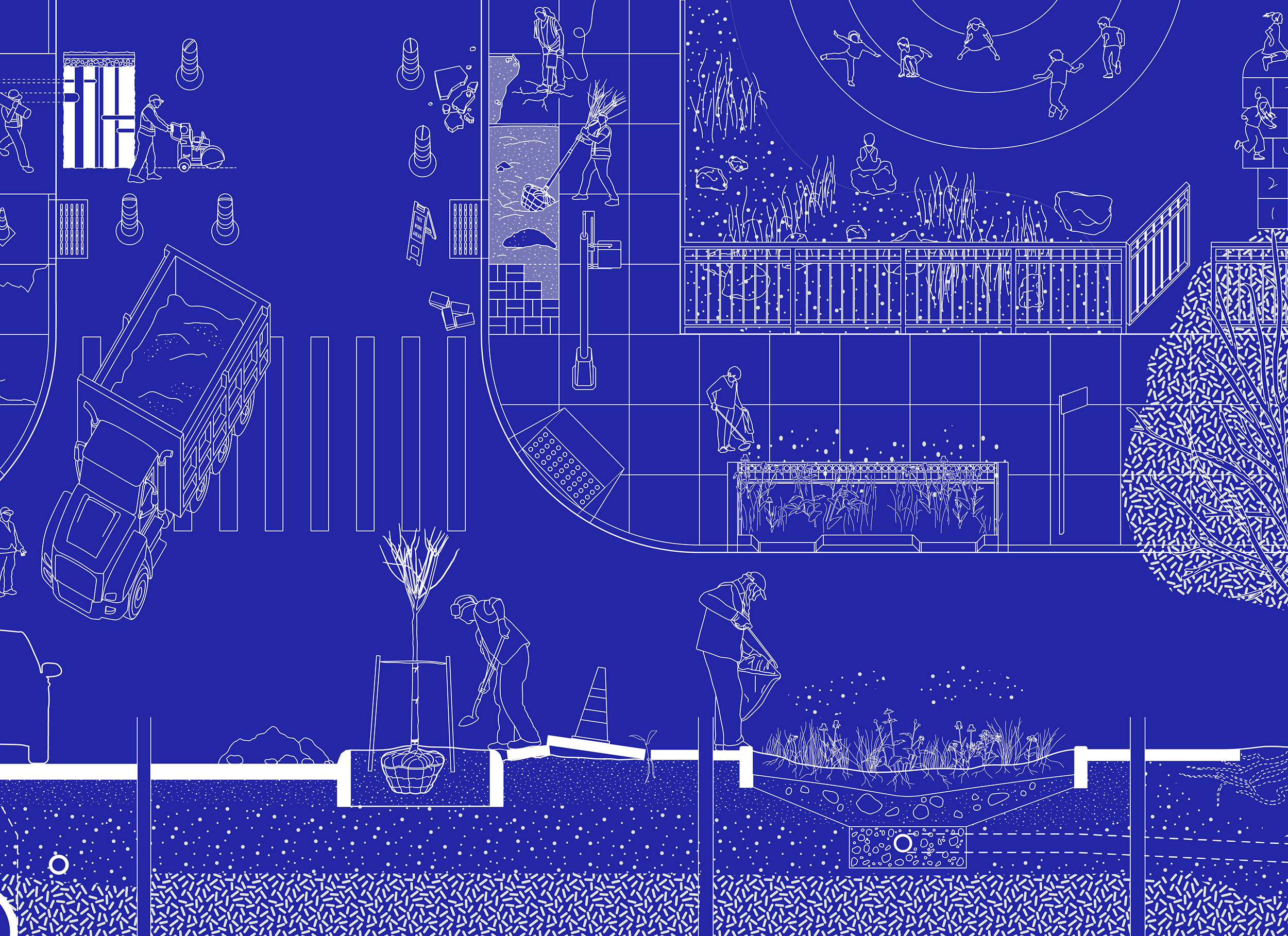 A cyanotype print illustration