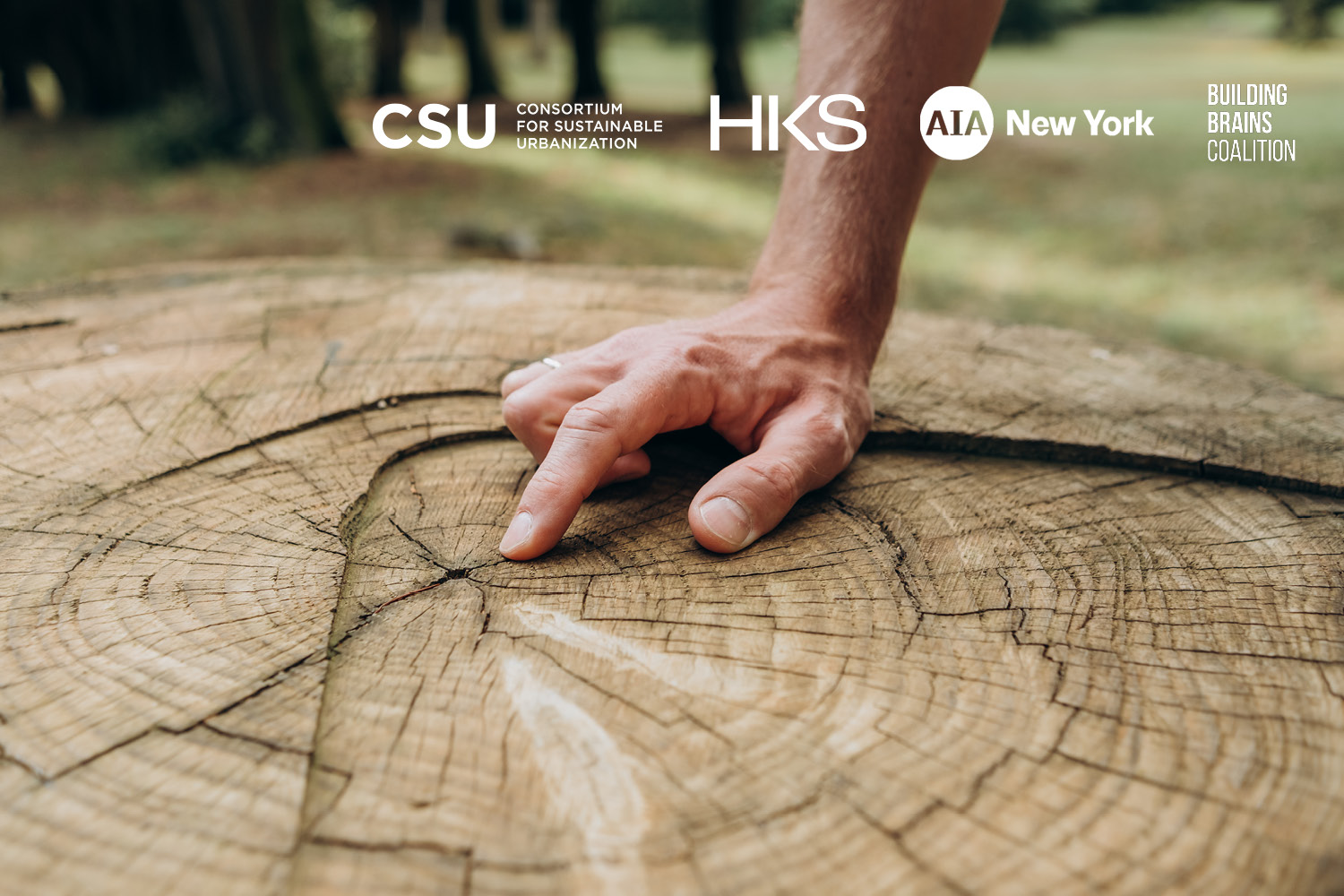 HKS ClimateWeek Panel Graphic 2 4